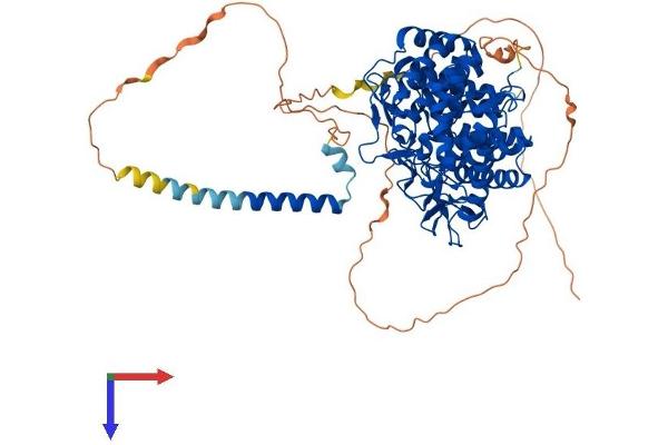 MAN1B1 Protein (AA 1-699) (His tag)