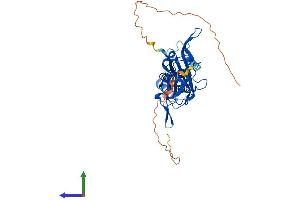 Protein Structure (PS) image for Potassium Inwardly-Rectifying Channel, Subfamily J, Member 5 (KCNJ5) (AA 1-419) protein (His tag) (ABIN7563320)