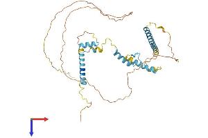 RSRC2 Protein (AA 1-376) (His tag)