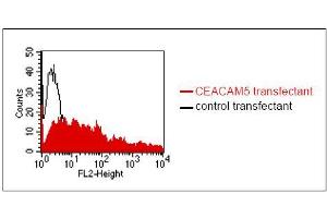 FACS analysis of BOSC23 cells using MUS. (CEACAM5/6 Antikörper)