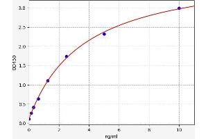 p63 ELISA Kit