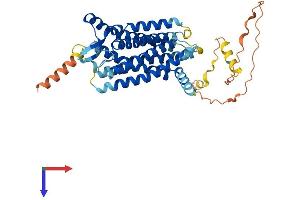 GPR151 Protein (AA 1-419) (His tag)
