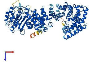 ZYG11B Protein (AA 1-744) (His tag)
