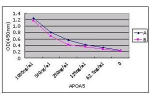 Sandwich ELISA using antibody pair to detect APOA5 protein. (APOA5 Antikörper)