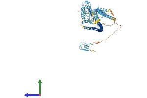 Protein Structure (PS) image for Leucine Rich Repeat and Sterile alpha Motif Containing 1 (LRSAM1) (AA 1-727) protein (His tag) (ABIN7564308)