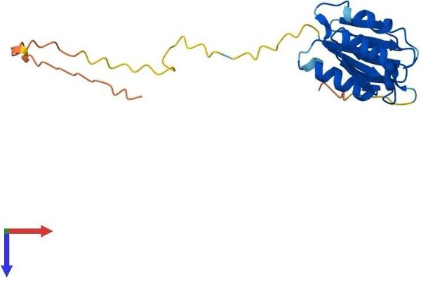 NDUFAF3 Protein (AA 1-185) (His tag)