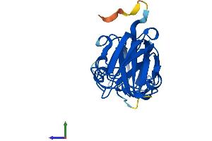 Protein Structure (PS) image for Crystallin, beta A2 (CRYbA2) (AA 1-197) protein (His tag) (ABIN7561608)