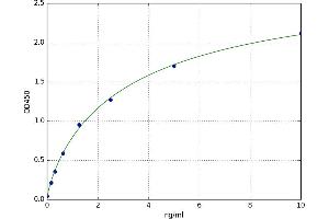 Amelogenin, X-Linked (AMELX) ELISA Kit