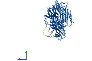 DBH Protein (AA 1-622) (His tag)