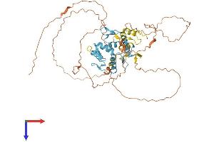 IKZF2 Protein (AA 1-526) (His tag)