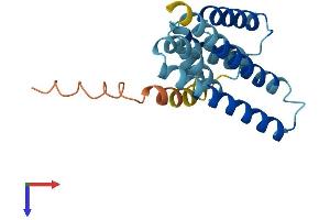 LZIC Protein (AA 1-190) (His tag)
