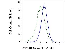Validation of CD146 knockdown using flow cytometry. (Rekombinanter MCAM Antikörper)