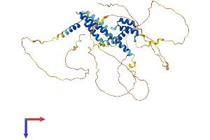 MEIS2 Protein (AA 1-477) (His tag)