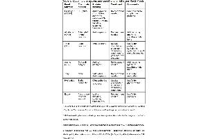 Image no. 1 for MagSi-S 3.0 beads (ABIN1721092)