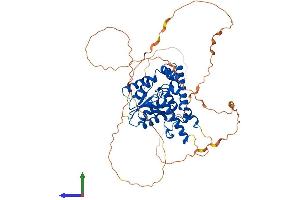 Protein Structure (PS) image for Eyes Absent Homolog 2 (Drosophila) (EYA2) (AA 1-532) protein (His tag) (ABIN7562169)