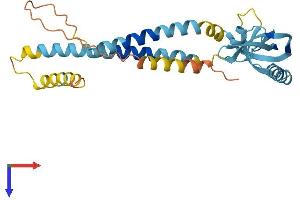 KCNMB3 Protein (AA 1-279) (His tag)