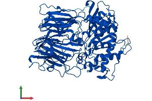 Protein Structure (PS) image for Prolyl Endopeptidase (PREP) (AA 1-710) protein (His tag) (ABIN7551004)