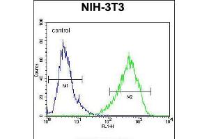 Flow cytometric analysis of NIH-3T3 cells (right histogram) compared to a negative control cell (left histogram). (HOMEZ Antikörper  (N-Term))
