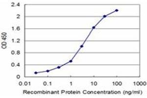 Detection limit for recombinant GST tagged FXN is approximately 0. (Frataxin Antikörper  (AA 91-200))