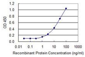 Detection limit for recombinant GST tagged KLK5 is 0. (Kallikrein 5 Antikörper  (AA 194-293))