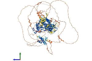 Protein Structure (PS) image for tyrosine Kinase, Non-Receptor, 2 (TNK2) (AA 1-1038) protein (His tag) (ABIN7551802)