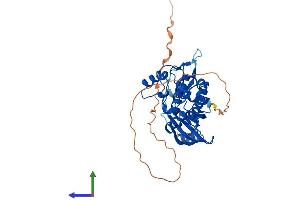 AlphaFold protein structure predicition of Human Recombinant TSSK1B Protein, UniprotID Q9BXA7