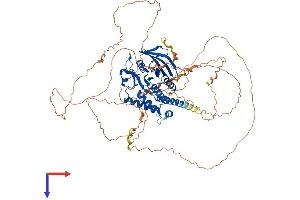 PTPN12 Protein (AA 1-775) (His tag)