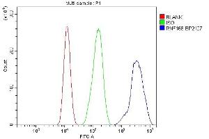 Flow Cytometry analysis of CACO-2 cells using anti-RNF168 antibody (ABIN7601889).