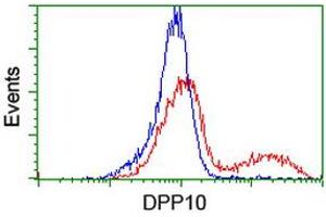 Flow Cytometry (FACS) image for anti-Dipeptidylpeptidase 10 (DPP10) antibody (ABIN1497833) (DPP10 Antikörper)