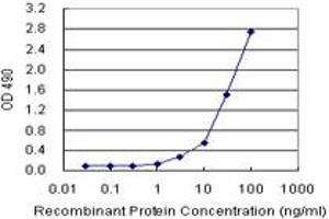 IL13 (Human) Matched Antibody Pair