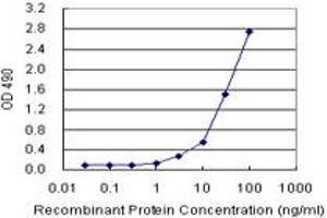 Sandwich ELISA detection sensitivity ranging from 1 ng/mL to 100 ng/mL. (IL13 (Human) Matched Antibody Pair)