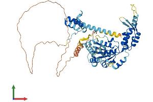 Protein Structure (PS) image for Katanin P60 Subunit A-Like 2 (KATNAL2) (AA 1-538) protein (His tag) (ABIN7548622)