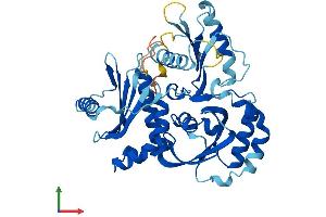 Protein Structure (PS) image for Fuzzy Homolog (FUZ) (AA 1-415) protein (His tag) (ABIN7557315)