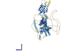 Protein Structure (PS) image for Potassium Voltage-Gated Channel, Subfamily H (Eag-Related), Member 5 (KCNH5) (AA 1-988) protein (His tag) (ABIN7554341)