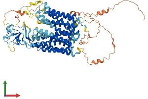 AlphaFold protein structure predicition of Human Recombinant SLCO3A1 Protein, UniprotID Q9UIG8