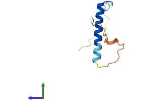 AlphaFold protein structure predicition of Mouse Recombinant Nrgn Protein, UniprotID P60761 (Neurogranin Protein (NRGN) (AA 1-78) (Fc Tag))