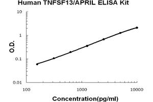 Human TNFSF13/APRIL Accusignal ELISA Kit Human TNFSF13/APRIL AccuSignal ELISA Kit standard curve. (TNFSF13 ELISA Kit)