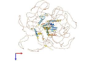 MBD5 Protein (AA 1-1494) (His tag)