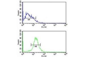 Flow Cytometry (FACS) image for anti-NK3 Homeobox 1 (NKX3-1) (AA 118-145) antibody (ABIN3032013)