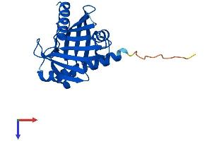 STARD6 Protein (AA 1-220) (His tag)