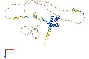 HOXA5 Protein (AA 1-270) (His tag)