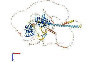PHF15 Protein (AA 1-790) (His tag)