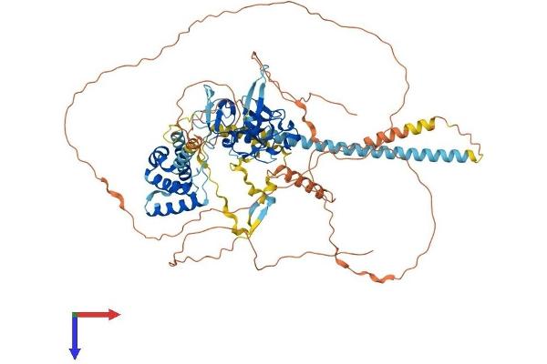 PHF15 Protein (AA 1-790) (His tag)