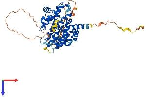 Cyclin E2 Protein (CCNE2) (AA 1-404) (His tag)
