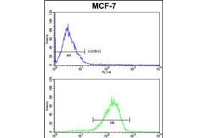 MAP2 Antibody FC analysis of MCF-7 cells (bottom histogram) compared to a negative control cell (top histogram).