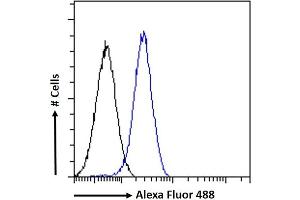 (ABIN334406) Flow cytometric analysis of paraformaldehyde fixed A549 cells (blue line), permeabilized with 0. (GADD45G Antikörper  (Internal Region))