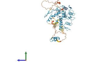 AlphaFold protein structure predicition of Human Recombinant ZNF556 Protein, UniprotID Q9HAH1