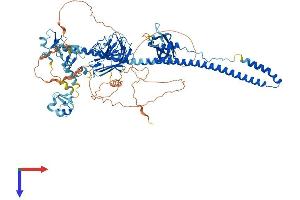TRIM9 Protein (AA 1-817) (His tag)