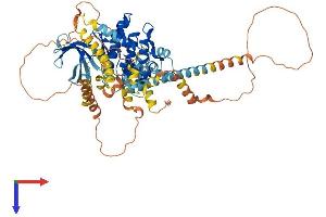 NEK11 Protein (AA 1-645) (His tag)