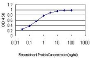 Detection limit for recombinant GST tagged GMEB1 is approximately 0. (GMEB1 Antikörper  (AA 467-563))